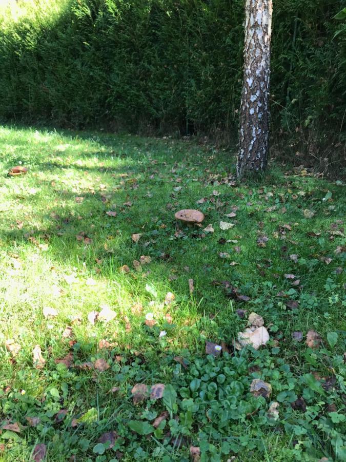 Domki Nad Stawem. Polańczyk Esterno foto